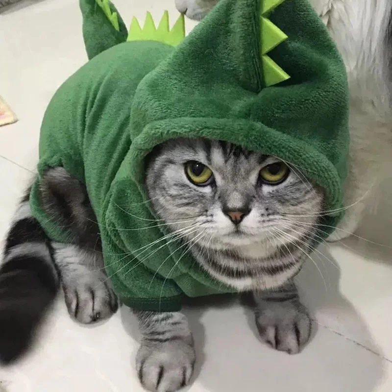 Cute Costume Cat Dinosaur Outfit