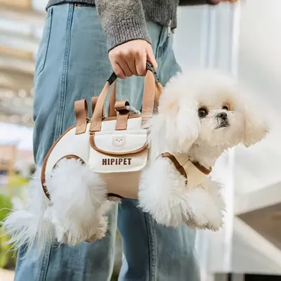 Cute Dog Backpack Carrier – Ideal for Small to Medium Pets – Ideal for Travel, Daily Use, Walking, Pet Carry Bag, Dog Cute Dog Backpack Carrier – Ideal for Small to Medium Pets – Ideal for Travel, Daily Use, Walking, Pet Carry Bag, Dog