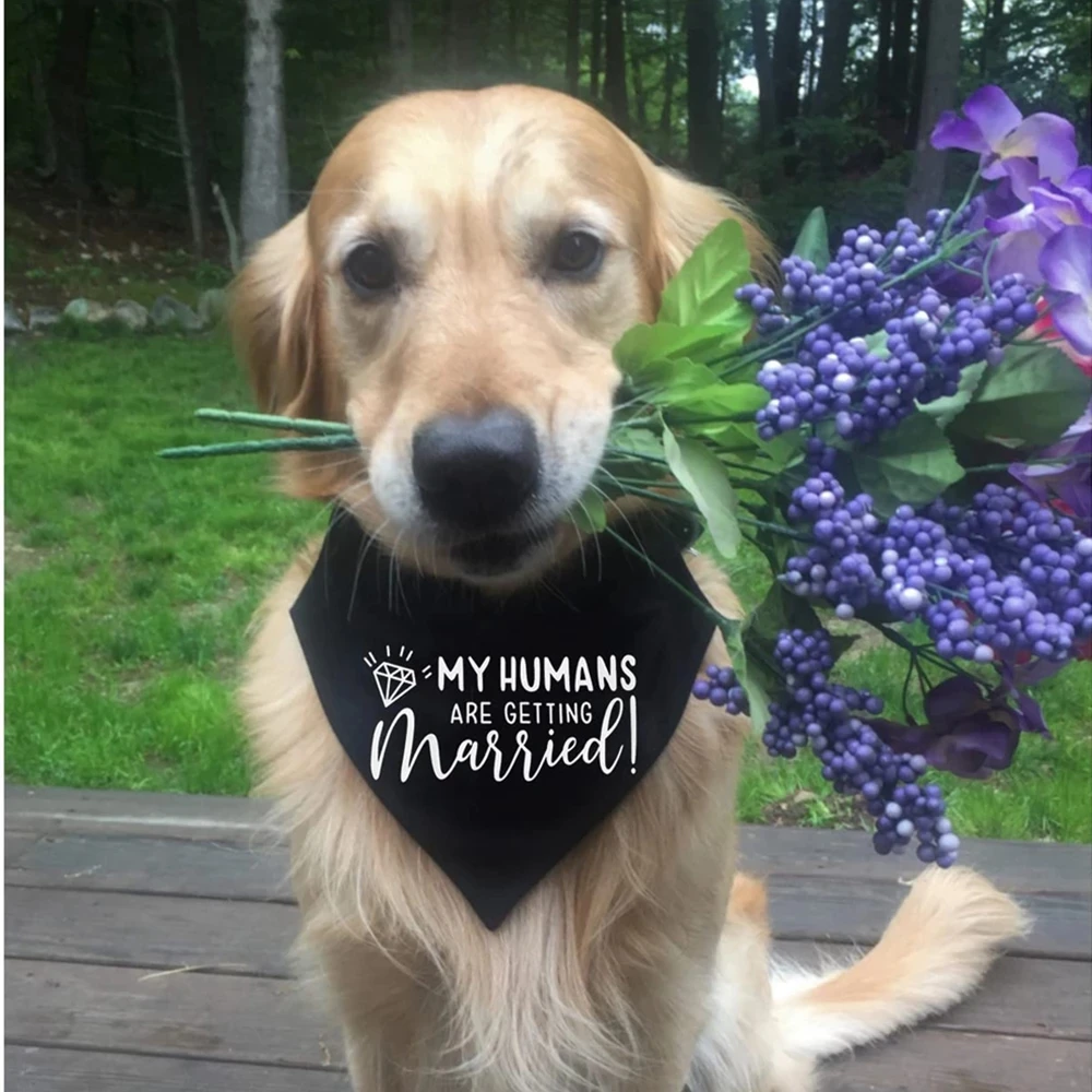Cute Dog Wedding Bandana
