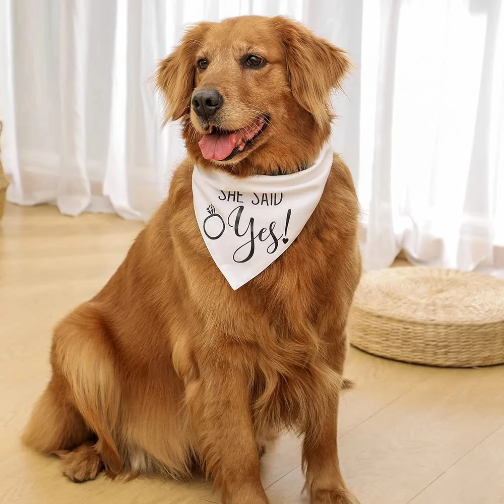 Cute Dog Wedding Bandana