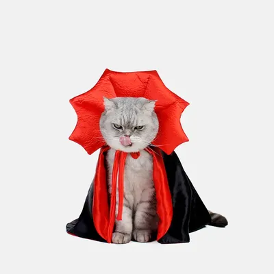 Cute Halloween Pet Costumes Cosplay Vampire Cloak For Small Dog Cat Kitten Puppy Dress Kawaii Pet Clothes Cat