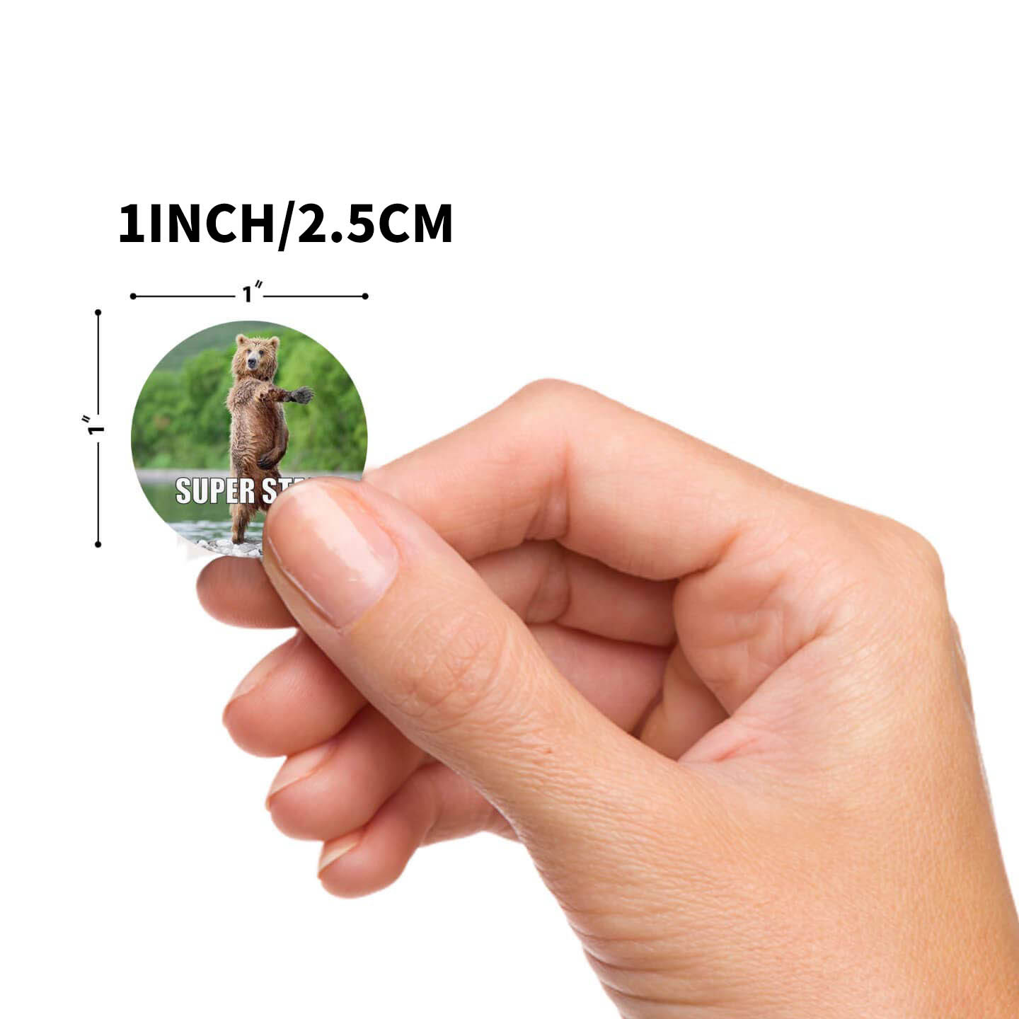 Cute Motivational Stickers for Students (500 pcs)