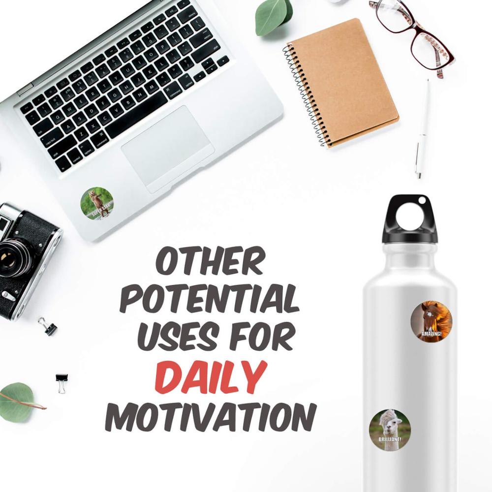 Cute Motivational Stickers for Students (500 pcs)