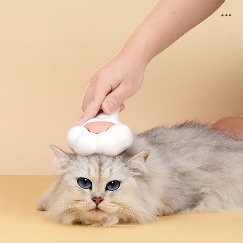 Cute Paw Style Cat Grooming Brush
