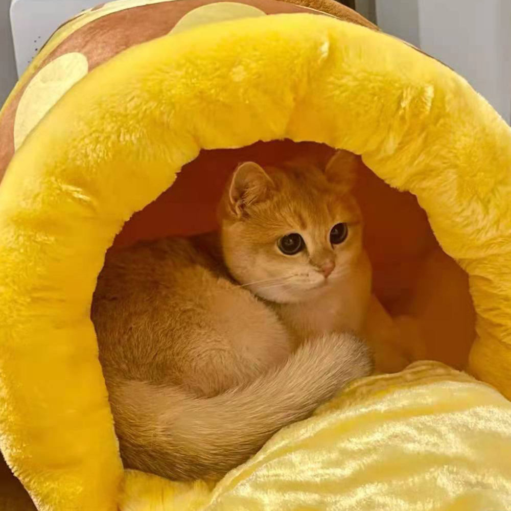 Cute Pet House Honey Jar Cat Bed Cute Pet House Honey Jar Cat Bed