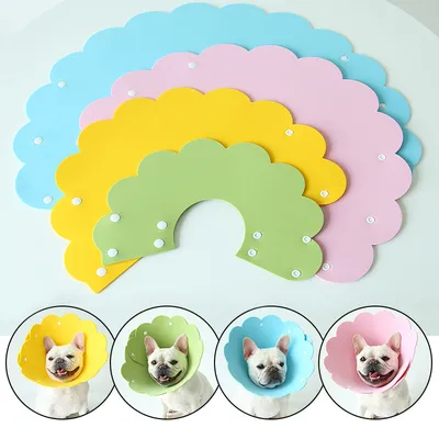 Cute Recovery Dog Flower Cone