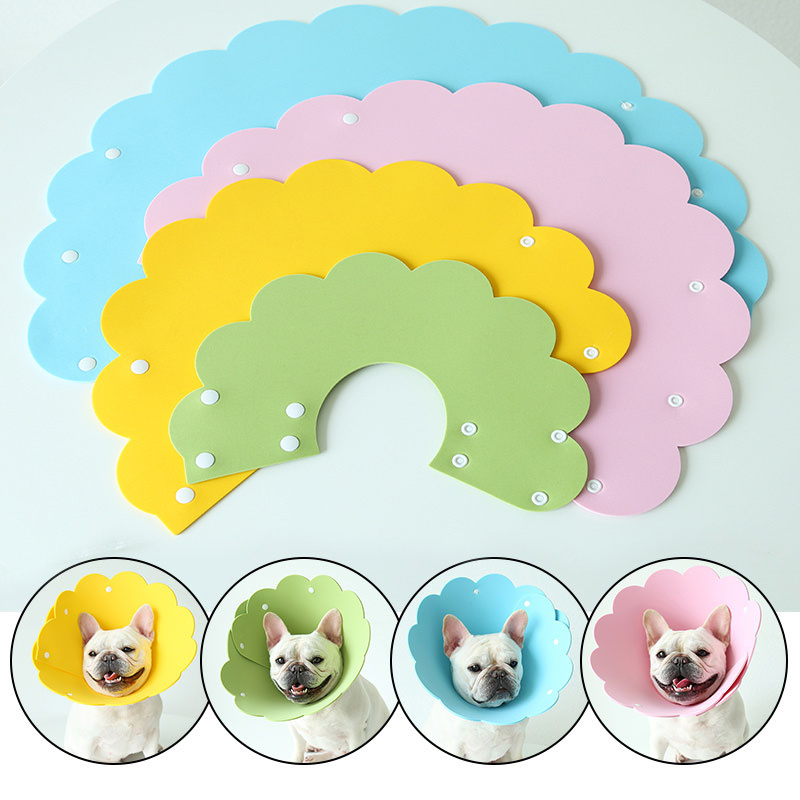 Cute Recovery Dog Flower Cone Cute Recovery Dog Flower Cone