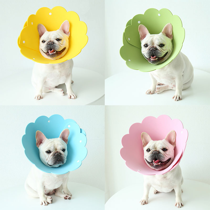 Cute Recovery Dog Flower Cone