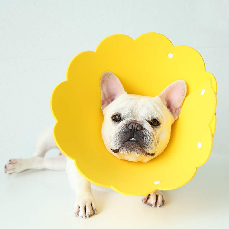 Cute Recovery Dog Flower Cone