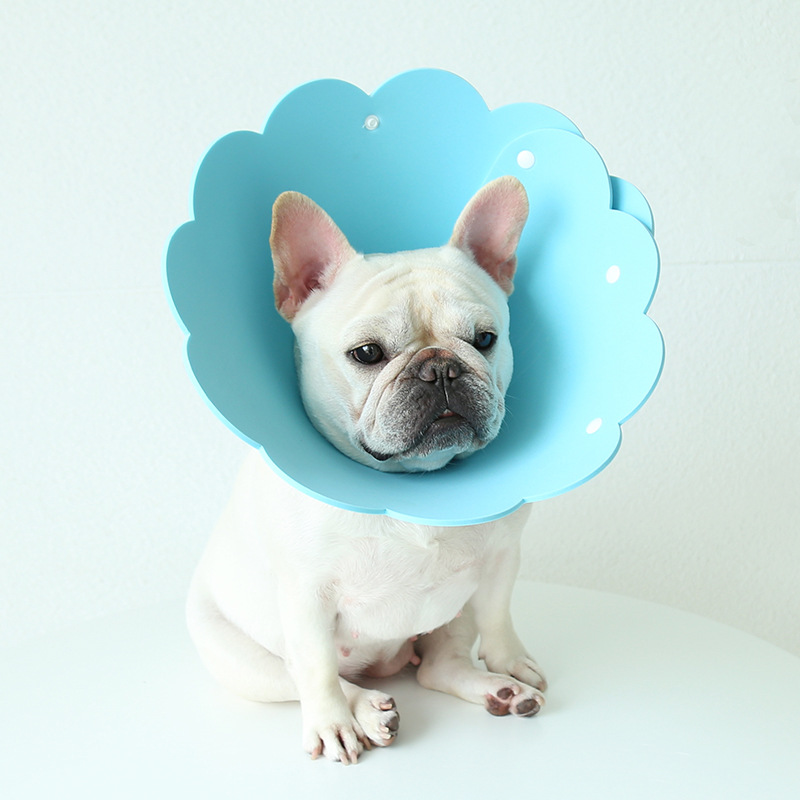 Cute Recovery Dog Flower Cone