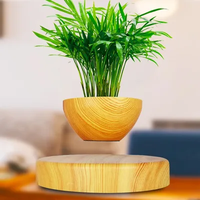 Decorative Plants Magnetic Levitation Decorative Plants Magnetic Levitation