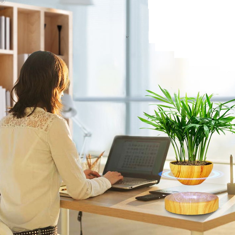 Decorative Plants Magnetic Levitation Decorative Plants Magnetic Levitation