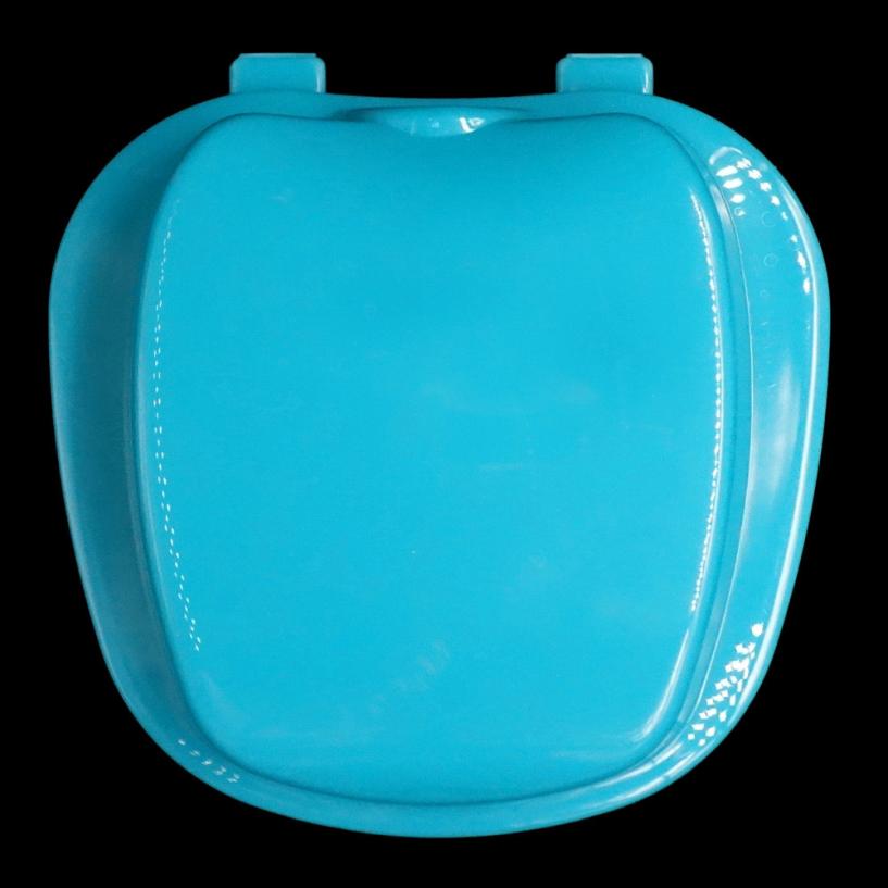 Denture Case Storage Box Denture Case Storage Box