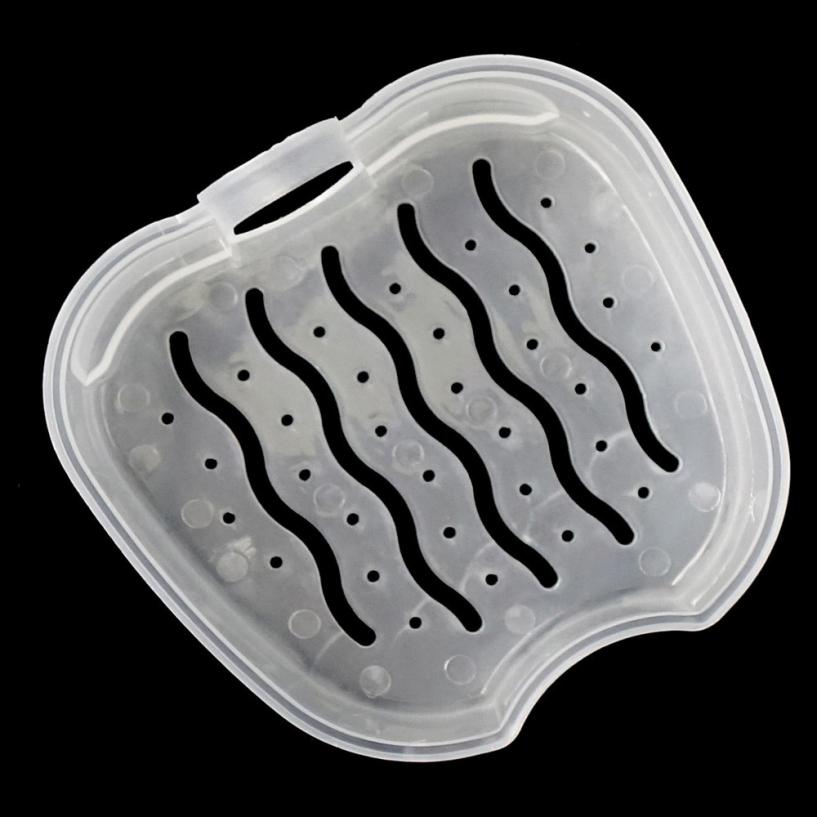 Denture Case Storage Box Denture Case Storage Box