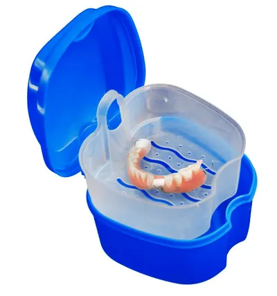 Denture Case with Hanging Net Container Denture Case with Hanging Net Container