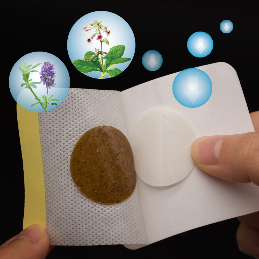 Diabetic Patch Herbal Blood Sugar Control (30 PCS) Diabetic Patch Herbal Blood Sugar Control (30 PCS)