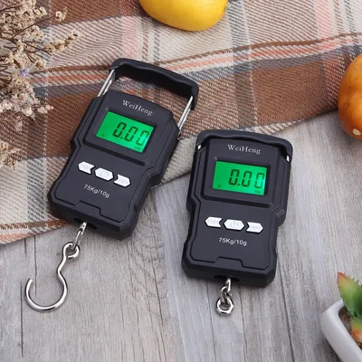 Digital 75kg Hook Weighing Scale