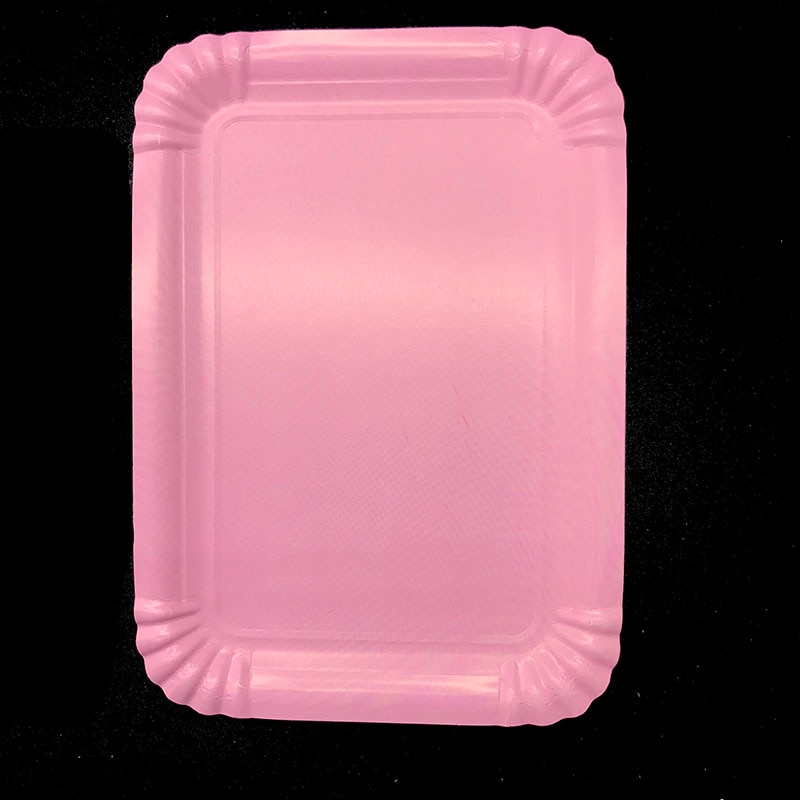 Disposable Plates Rectangular Shaped (Set of 10) Disposable Plates Rectangular Shaped (Set of 10)