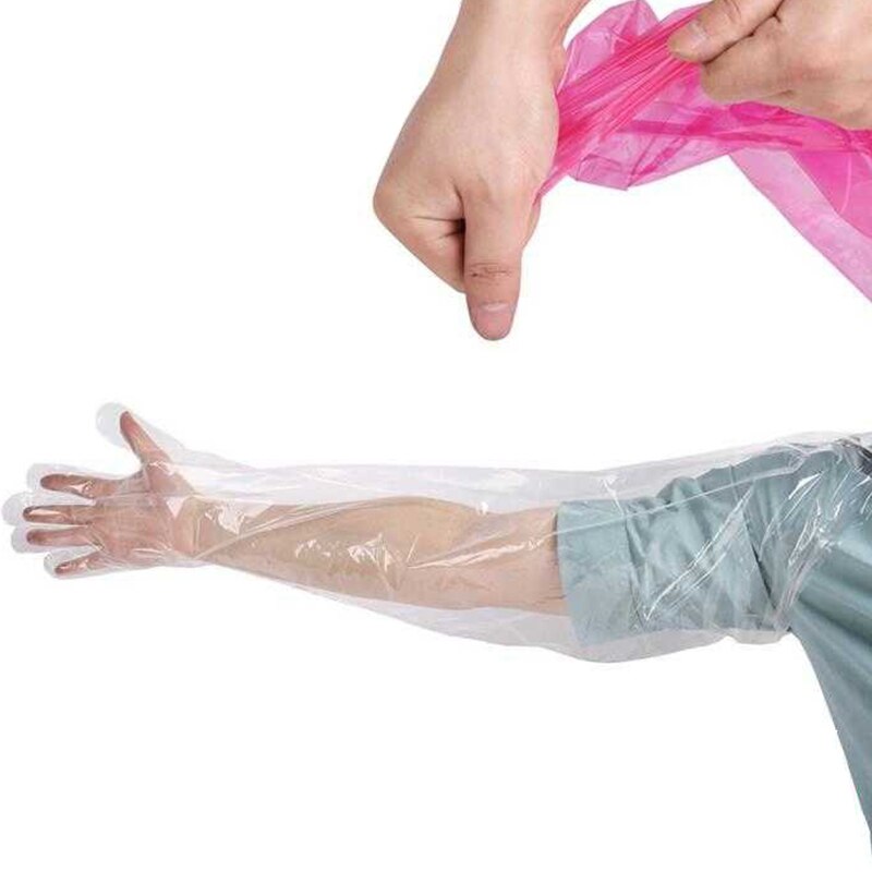 Disposable Veterinary Gloves (50pcs) Disposable Veterinary Gloves (50pcs)