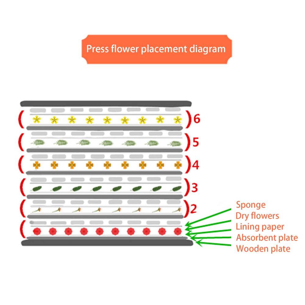 DIY Flower Press Kit (24pcs) DIY Flower Press Kit (24pcs)