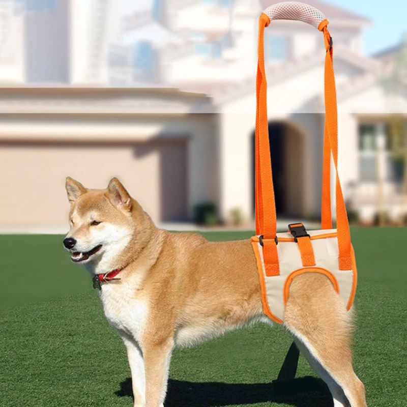 Dog Balance Support Belt Dog Hind Legs Auxiliary Belt For Recovery Disability Leg Brace Hind Leg Help Walking Harness Dog Balance Support Belt Dog Hind Legs Auxiliary Belt For Recovery Disability Leg Brace Hind Leg Help Walking Harness