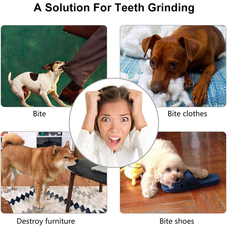 Dog Ball Toys for Small Dogs Interactive Elasticity Puppy Chew Toy Tooth Cleaning Rubber Food Ball Toy Pet Stuff