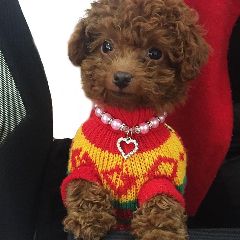 Dog Bead Collar with Heart Charm Dog Bead Collar with Heart Charm
