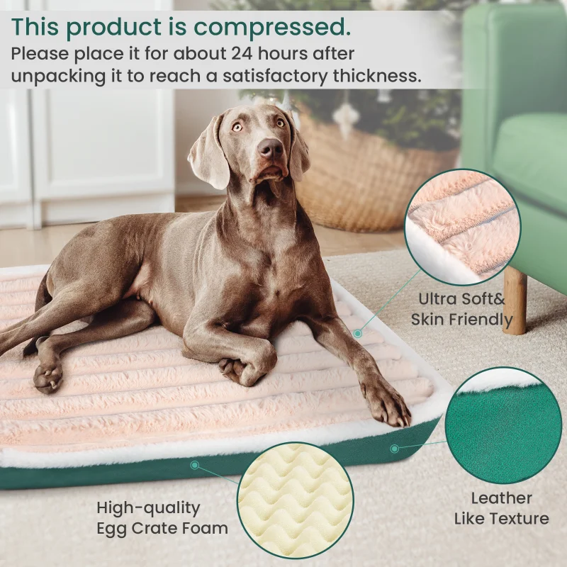 Dog Bed Mat with Zipper Remolvable Pet Mattress for Dog Sleeping Mat Washable Dog Mattress Pet Pad Cushion for Small Dog Bed Mat with Zipper Remolvable Pet Mattress for Dog Sleeping Mat Washable Dog Mattress Pet Pad Cushion for Small