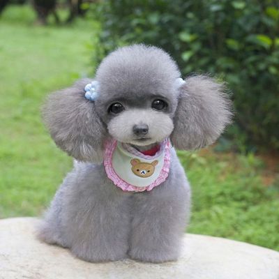 Dog Bib Wearable Pet Accessory Dog Bib Wearable Pet Accessory