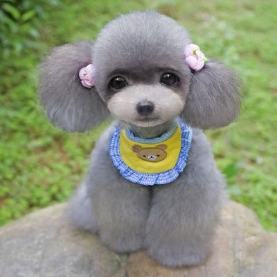 Dog Bib Wearable Pet Accessory Dog Bib Wearable Pet Accessory