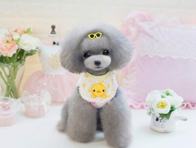 Dog Bib Wearable Pet Accessory Dog Bib Wearable Pet Accessory