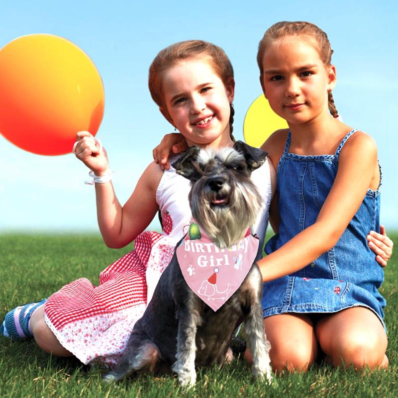 Dog Birthday Bandana Pet Bib