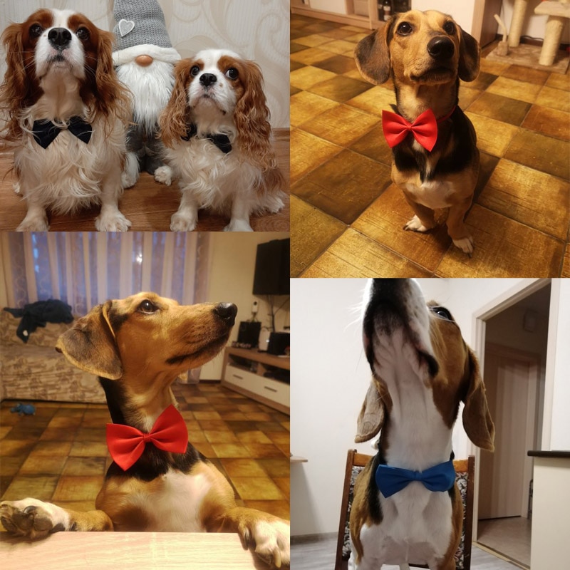 Dog Bow Tie Adjustable Pet Accessory Dog Bow Tie Adjustable Pet Accessory