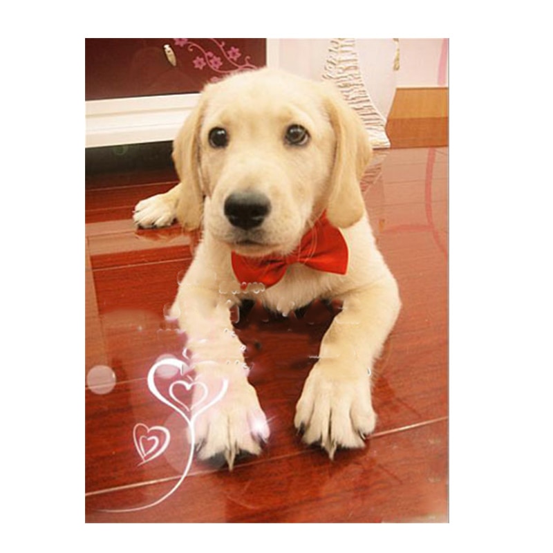 Dog Bow Tie Adjustable Pet Accessory Dog Bow Tie Adjustable Pet Accessory