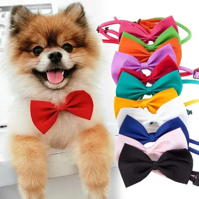 Dog Bowtie Pet Accessory Dog Bowtie Pet Accessory