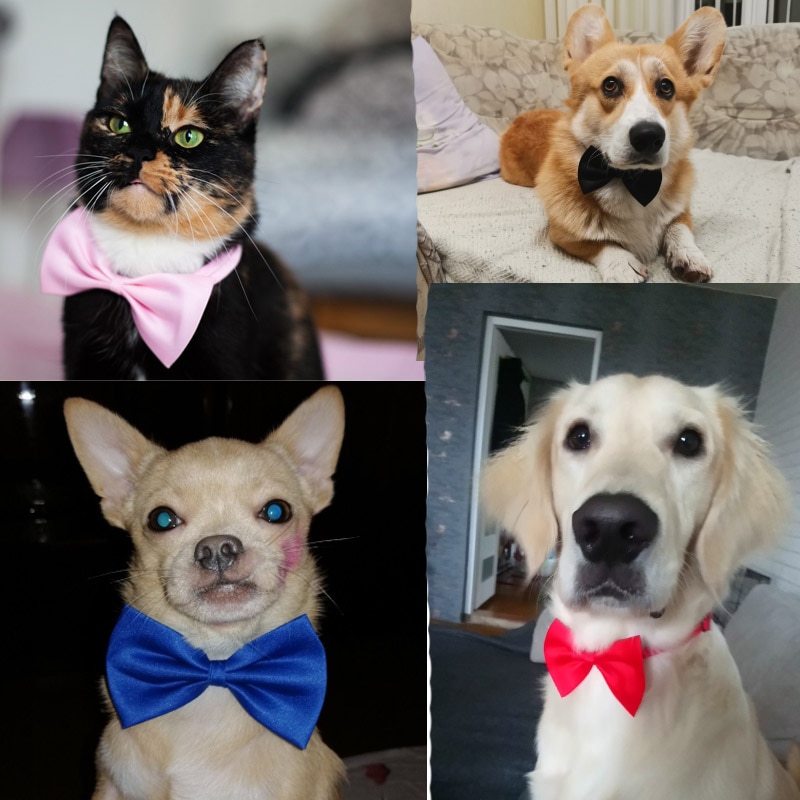 Dog Bowtie Pet Accessory Dog Bowtie Pet Accessory