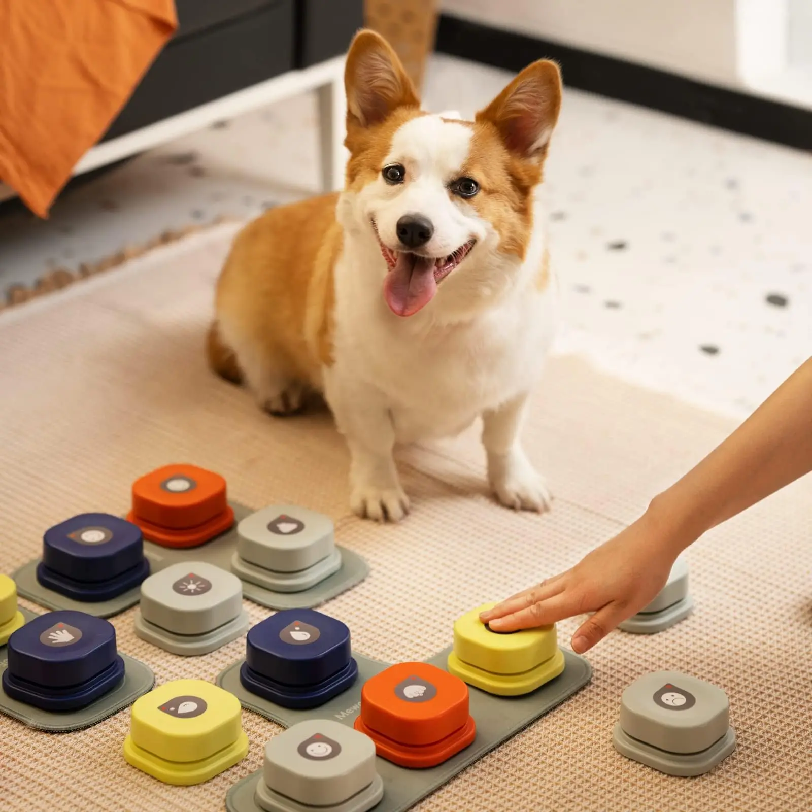 Dog Button Record Talking Pet Communication Vocal Training Interactive Toy Bell Ringer With Pad and Sticker Easy To Use Dog Button Record Talking Pet Communication Vocal Training Interactive Toy Bell Ringer With Pad and Sticker Easy To Use