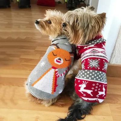Dog Christmas Sweater Crochet Costume Dog Christmas Sweater Crochet Costume