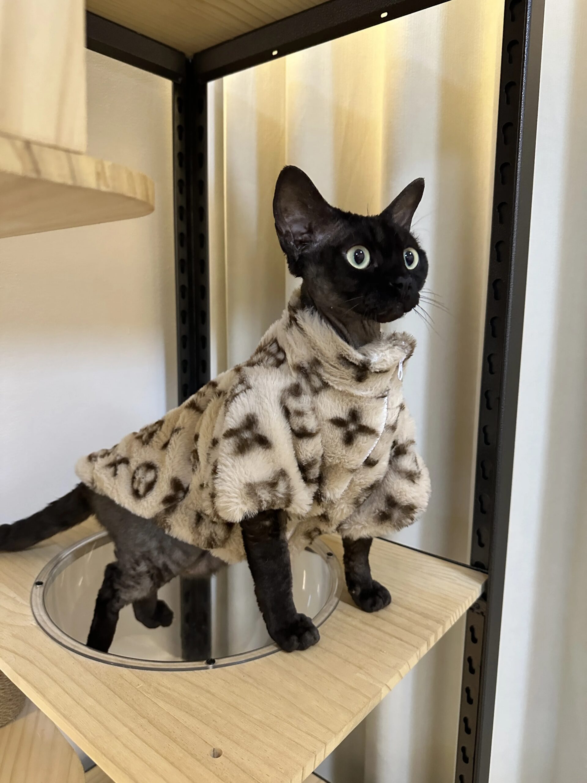 Dog Clothes Autumn Winter Schnauzer Fah Bichon Teddy Small And Medium-Sized Dog Cat Smoked Fur Coat To Keep Warm Dog Clothes Autumn Winter Schnauzer Fah Bichon Teddy Small And Medium-Sized Dog Cat Smoked Fur Coat To Keep Warm