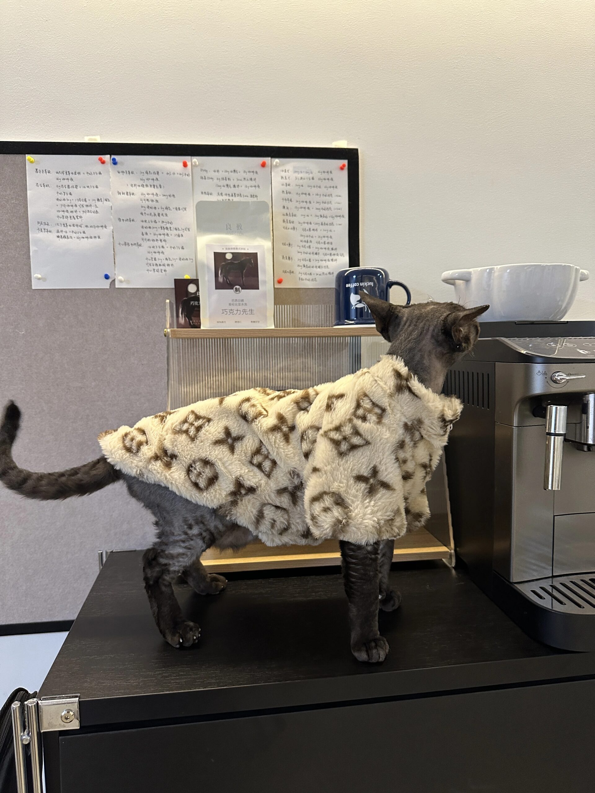 Dog Clothes Autumn Winter Schnauzer Fah Bichon Teddy Small And Medium-Sized Dog Cat Smoked Fur Coat To Keep Warm Dog Clothes Autumn Winter Schnauzer Fah Bichon Teddy Small And Medium-Sized Dog Cat Smoked Fur Coat To Keep Warm