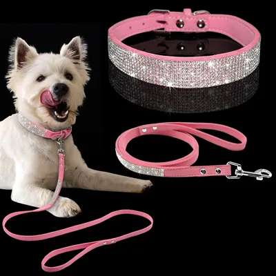 Dog Collar and Leash Set Dog Collar and Leash Set