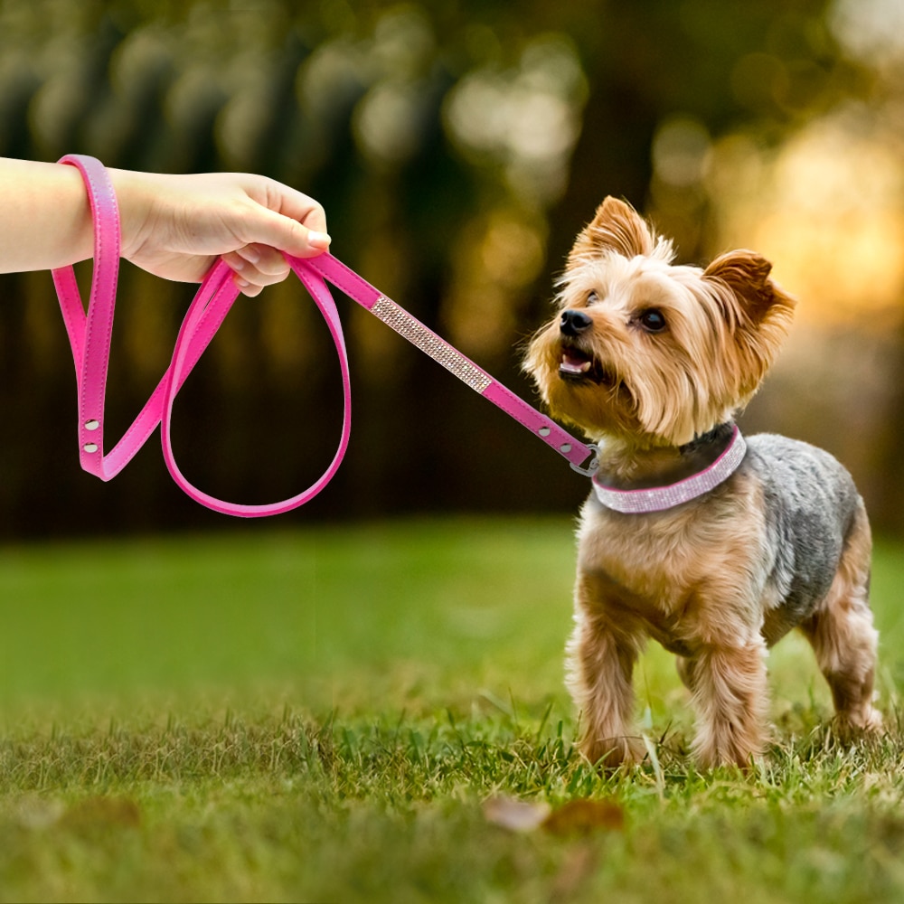 Dog Collar and Leash Set Dog Collar and Leash Set