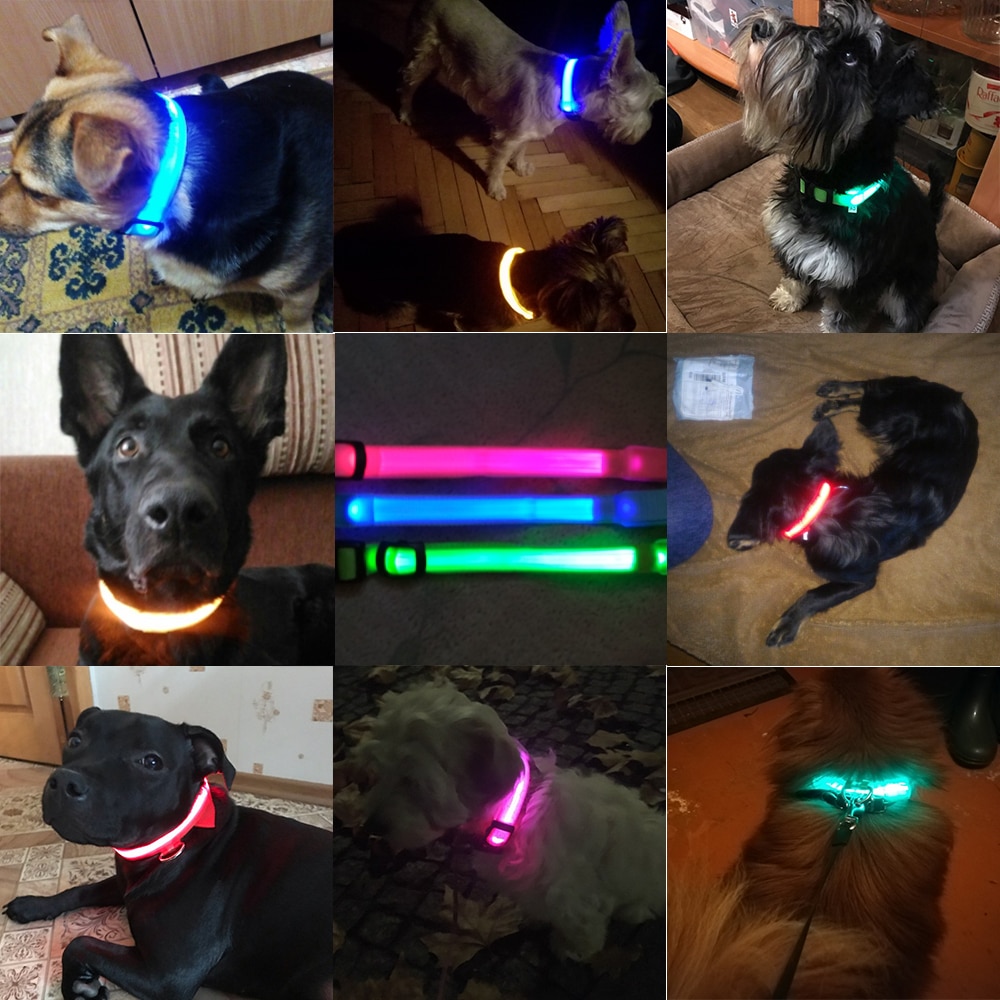 Dog Collar Light Anti-Lost LED Collar Dog Collar Light Anti-Lost LED Collar