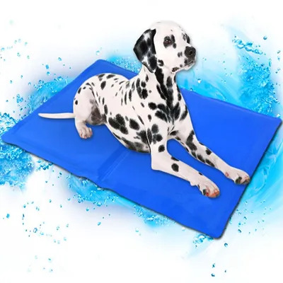 Dog Cooling Mat Pet Accessories Dog Cooling Mat Pet Accessories