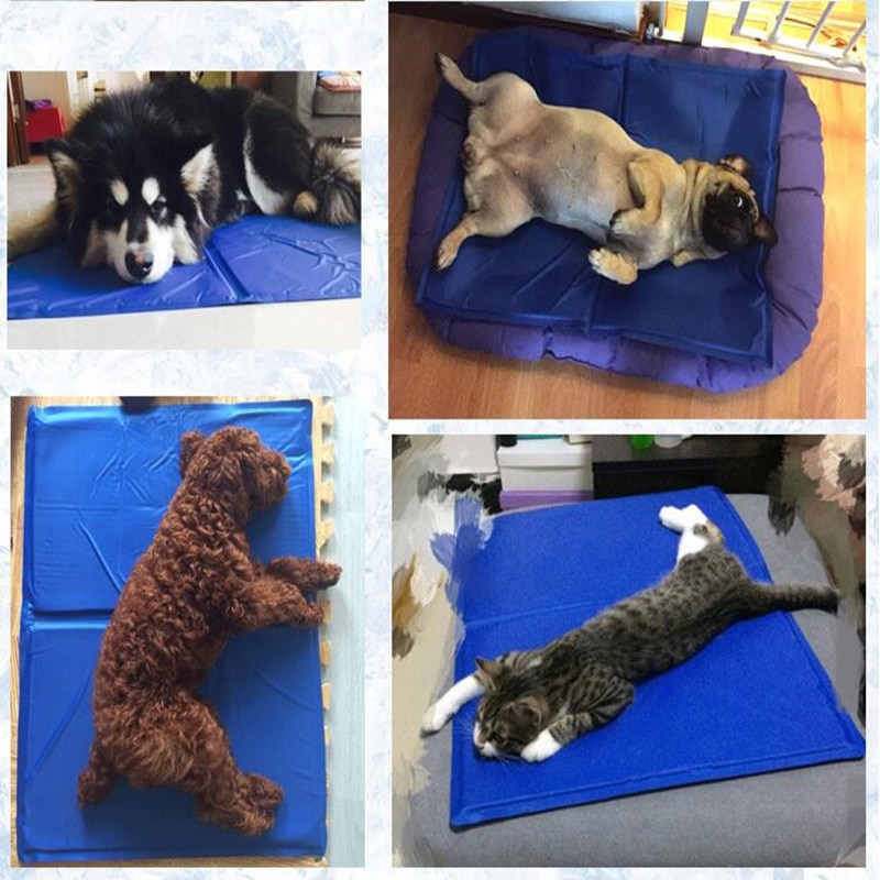 Dog Cooling Mat Pet Accessories Dog Cooling Mat Pet Accessories