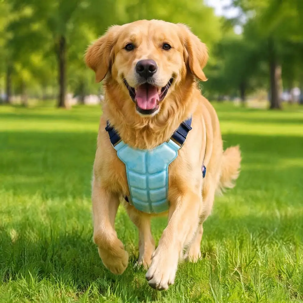 Dog Cooling Vest Breathable Cooling Coat with Gel Ice Packs Summer Pet Cooling Jacket for Large Medium Small Dogs