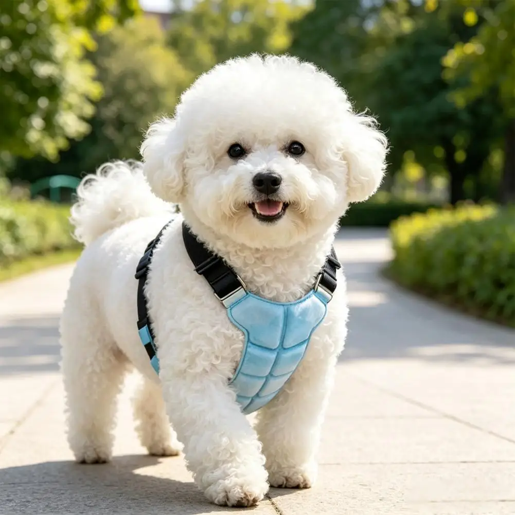 Dog Cooling Vest Breathable Cooling Coat with Gel Ice Packs Summer Pet Cooling Jacket for Large Medium Small Dogs