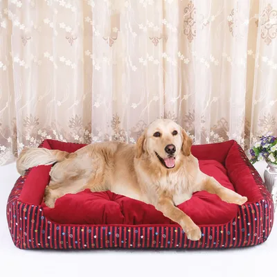 Dog Couch Detachable Lounge Bed Dog Couch Detachable Lounge Bed