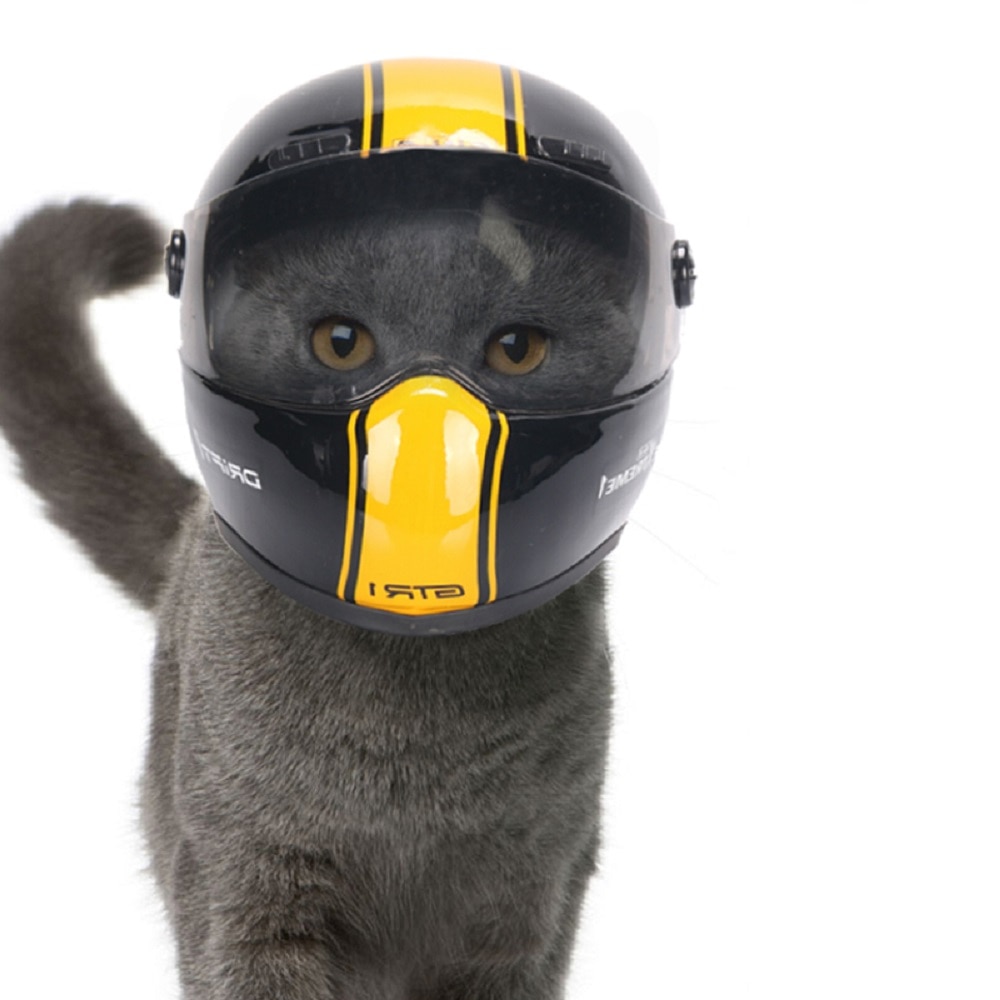 Dog Crash Helmet Protective Gear Dog Crash Helmet Protective Gear