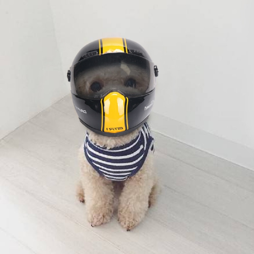 Dog Crash Helmet Protective Gear